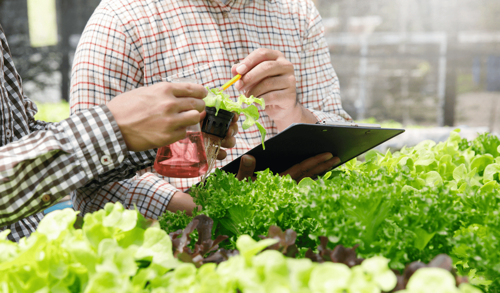 The Critical Role of Chemical Storage in Ensuring Food Safety and Quality